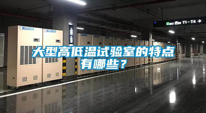 大型高低溫試驗室的特點有哪些？