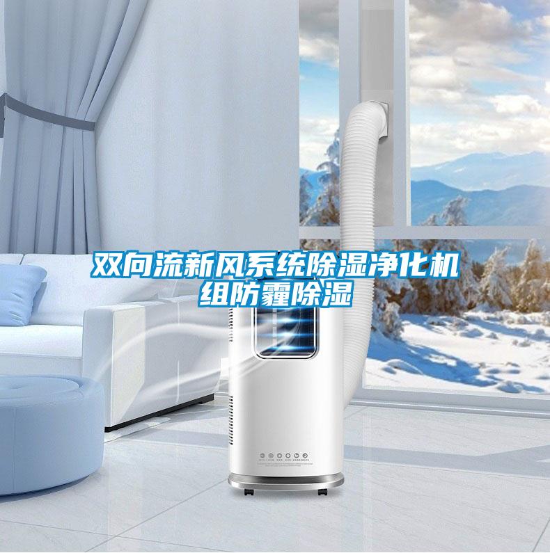 雙向流新風(fēng)系統(tǒng)除濕凈化機組防霾除濕