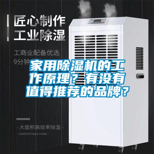家用除濕機(jī)的工作原理？有沒有值得推薦的品牌？