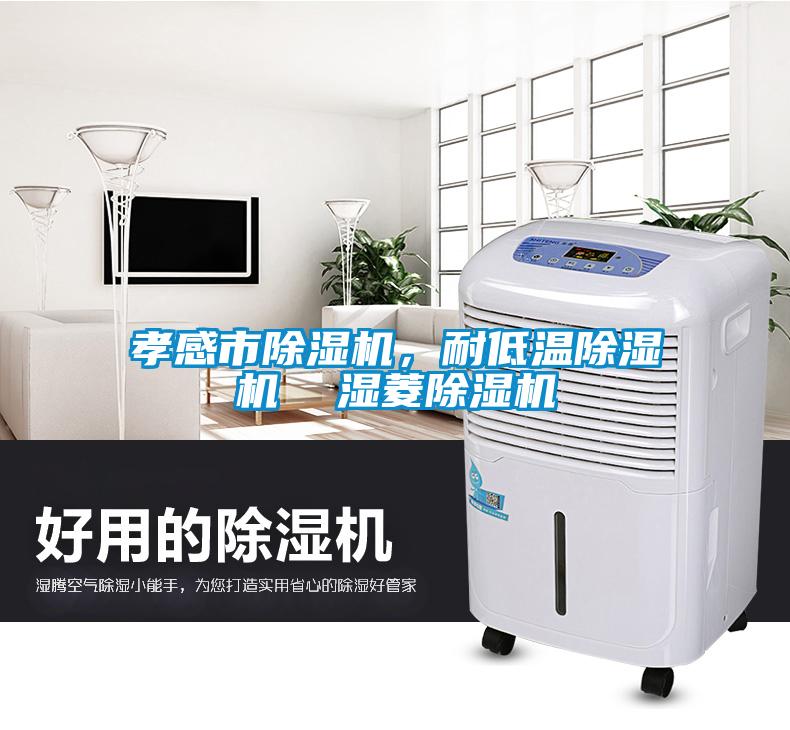 孝感市除濕機，耐低溫除濕機  濕菱除濕機