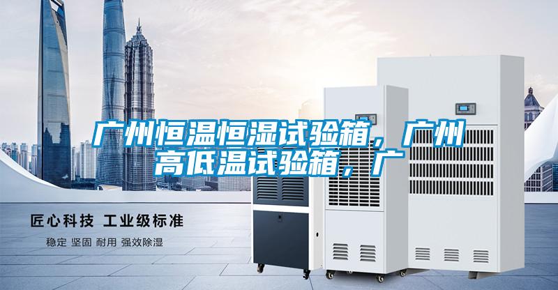 廣州恒溫恒濕試驗箱，廣州高低溫試驗箱，廣
