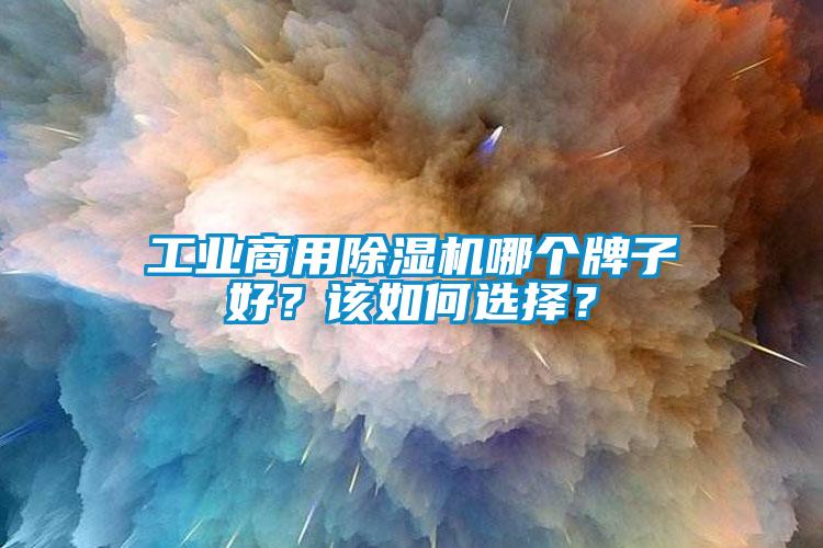 工業(yè)商用除濕機哪個牌子好？該如何選擇？