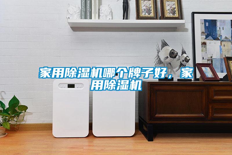 家用除濕機(jī)哪個(gè)牌子好，家用除濕機(jī)