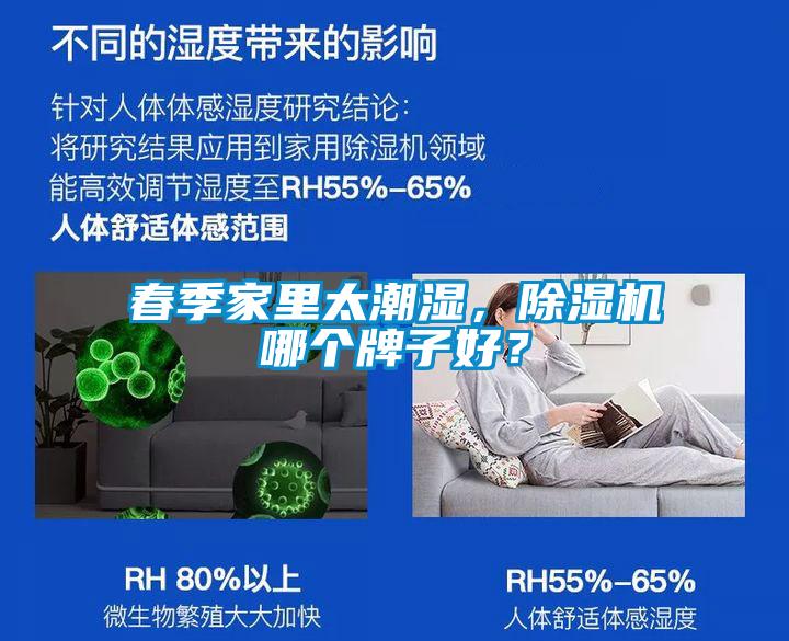 春季家里太潮濕，除濕機哪個牌子好？