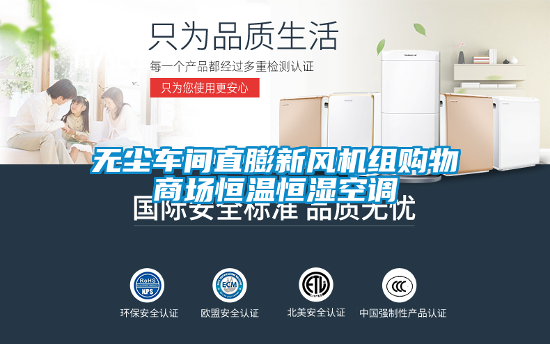 無塵車間直膨新風(fēng)機組購物商場恒溫恒濕空調(diào)