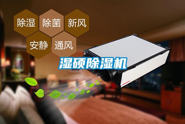 濕碩除濕機