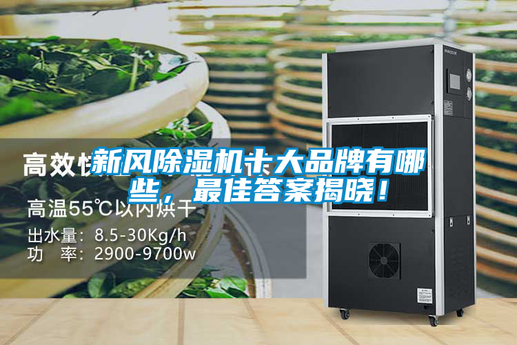 新風除濕機十大品牌有哪些，最佳答案揭曉！