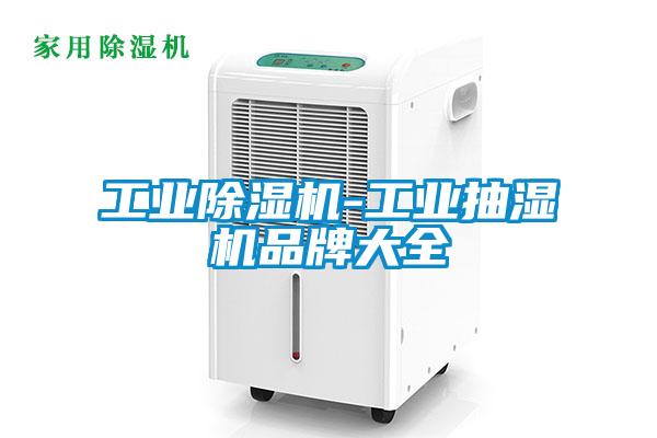 工業除濕機-工業抽濕機品牌大全