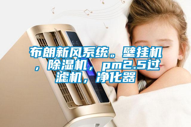 布朗新風(fēng)系統(tǒng)。壁掛機，除濕機，pm2.5過濾機，凈化器