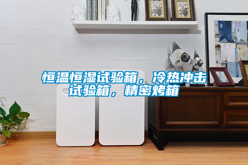 恒溫恒濕試驗(yàn)箱，冷熱沖擊試驗(yàn)箱，精密烤箱