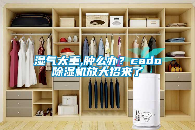 濕氣太重,腫么辦？cado除濕機(jī)放大招來(lái)了
