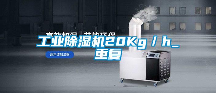 工業(yè)除濕機20Kg／h_重復(fù)