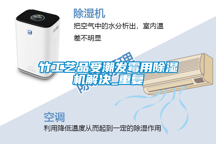 竹工藝品受潮發(fā)霉用除濕機解決_重復