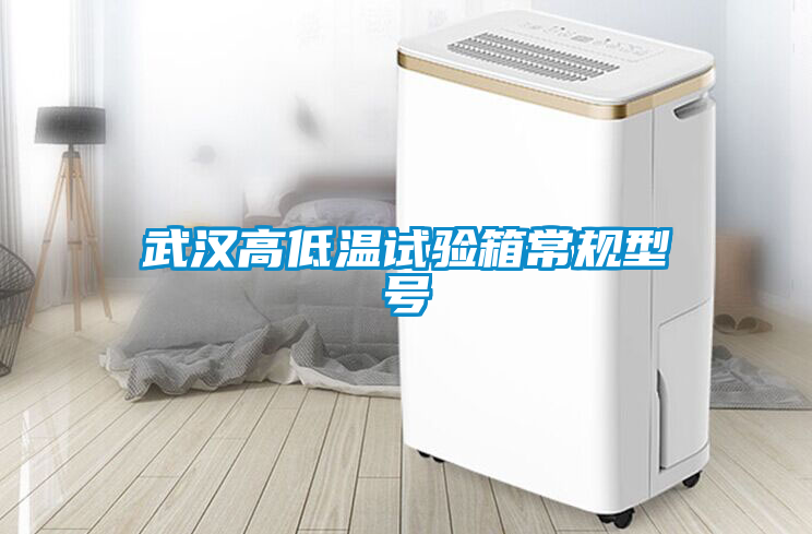 武漢高低溫試驗(yàn)箱常規(guī)型號(hào)