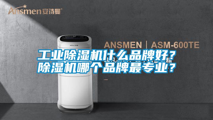 工業(yè)除濕機(jī)什么品牌好？除濕機(jī)哪個(gè)品牌最專(zhuān)業(yè)？