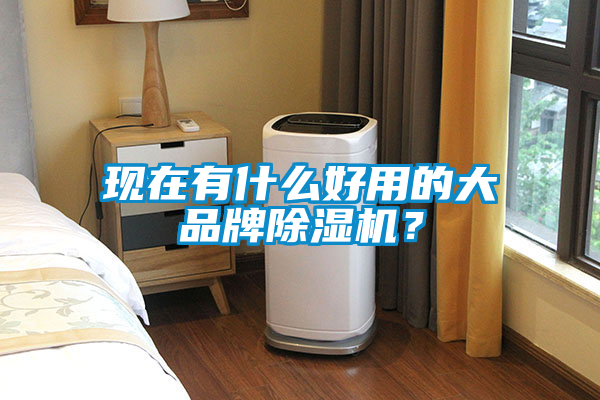 現(xiàn)在有什么好用的大品牌除濕機(jī)？