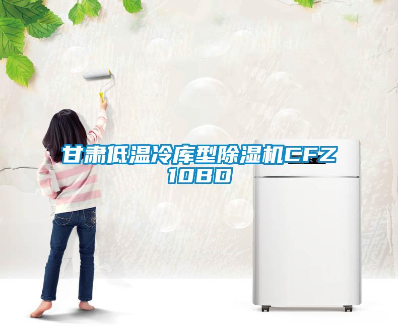 甘肅低溫冷庫型除濕機(jī)CFZ10BD