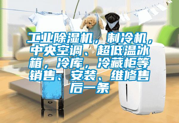 工業(yè)除濕機，制冷機，中央空調(diào)、超低溫冰箱，冷庫，冷藏柜等銷售、安裝、維修售后一條
