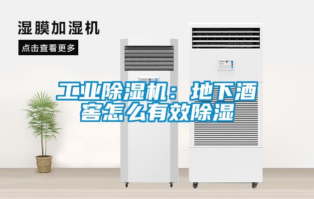 工業除濕機：地下酒窖怎么有效除濕