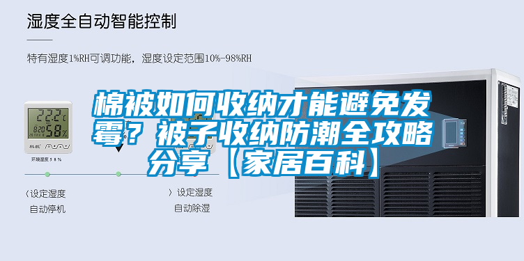 棉被如何收納才能避免發霉？被子收納防潮全攻略分享【家居百科】