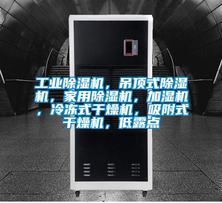 工業(yè)除濕機,吊頂式除濕機,家用除濕機,加濕機,冷凍式干燥機,吸附式干燥機,低露點
