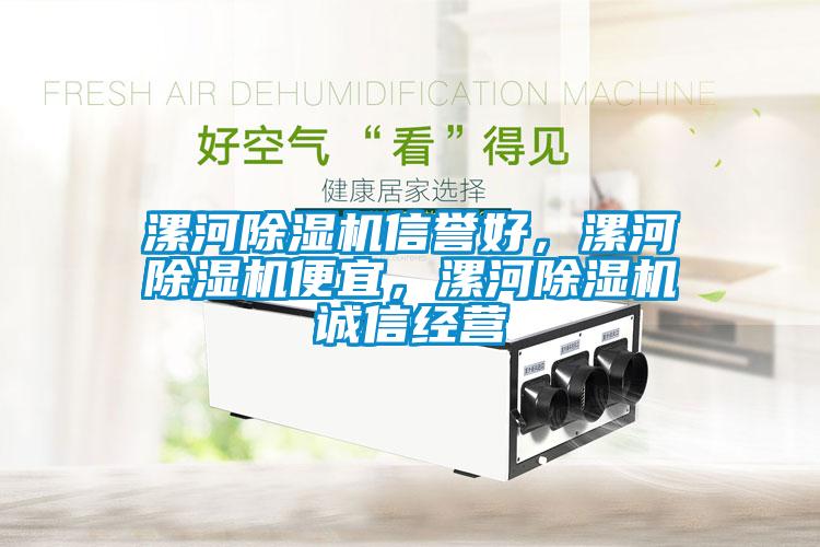 漯河除濕機信譽好，漯河除濕機便宜，漯河除濕機誠信經營