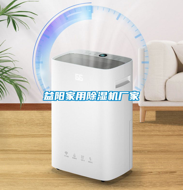 益陽家用除濕機(jī)廠家