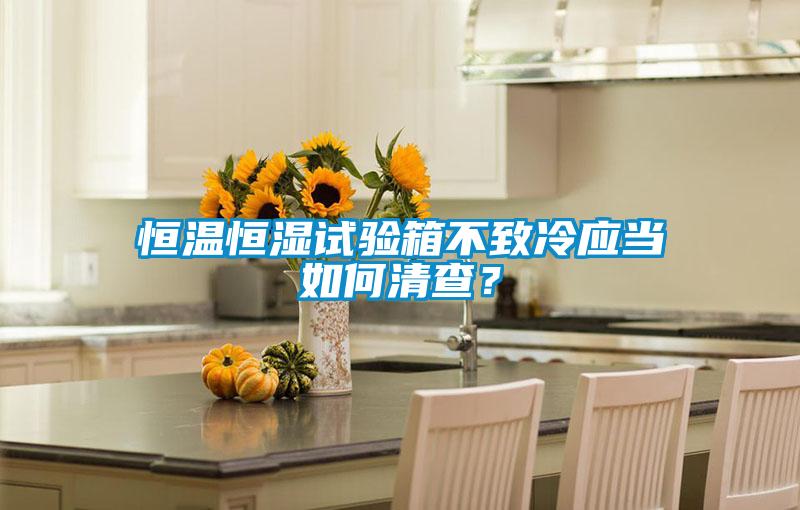 恒溫恒濕試驗箱不致冷應當如何清查？