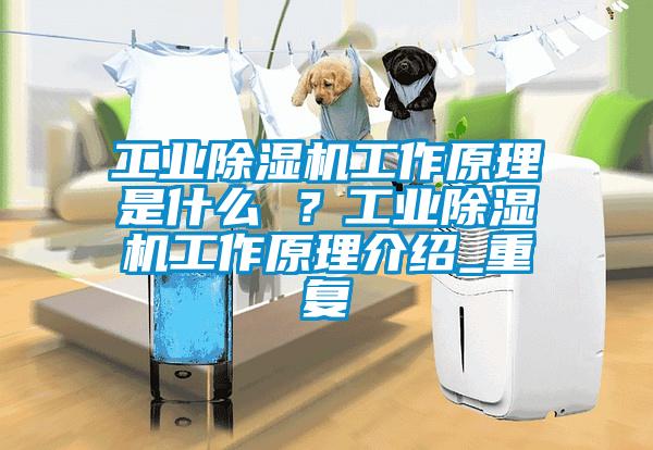 工業除濕機工作原理是什么 ？工業除濕機工作原理介紹_重復