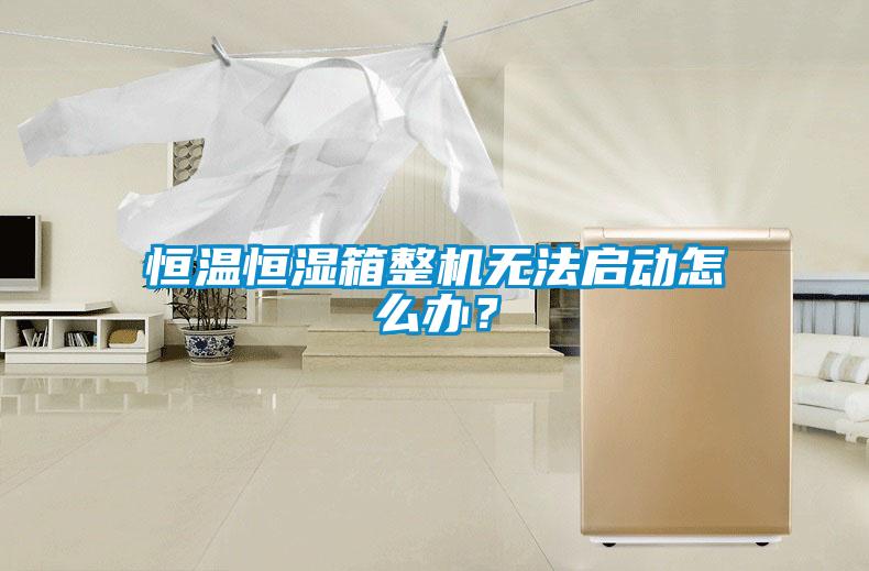 恒溫恒濕箱整機(jī)無法啟動(dòng)怎么辦?