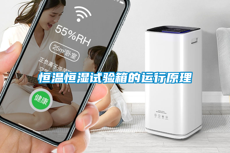 恒溫恒濕試驗箱的運(yùn)行原理