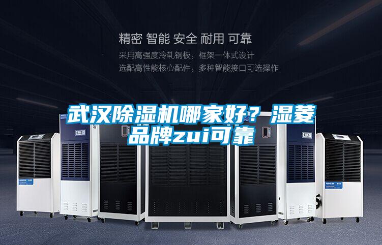 武漢除濕機(jī)哪家好？濕菱品牌zui可靠