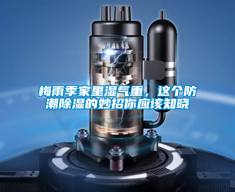 梅雨季家里濕氣重，這個防潮除濕的妙招你應該知曉