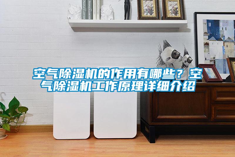 空氣除濕機(jī)的作用有哪些？空氣除濕機(jī)工作原理詳細(xì)介紹