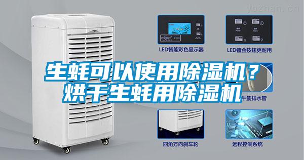 生蠔可以使用除濕機(jī)？烘干生蠔用除濕機(jī)