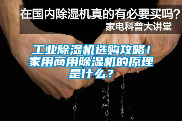 工業除濕機選購攻略！家用商用除濕機的原理是什么？