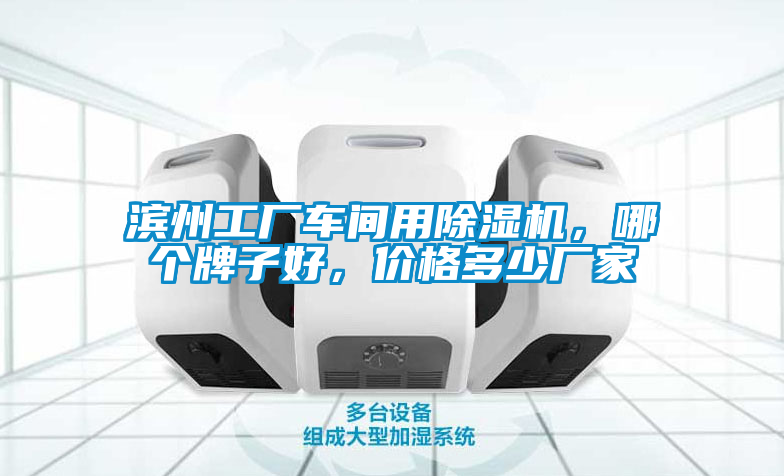濱州工廠車間用除濕機，哪個牌子好，價格多少廠家
