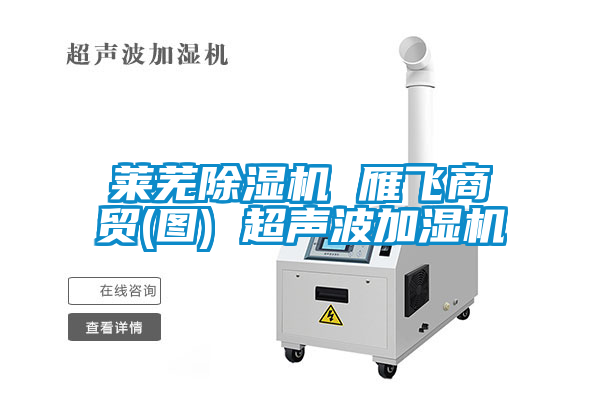 萊蕪除濕機 雁飛商貿(mào)(圖) 超聲波加濕機