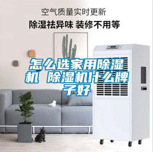 怎么選家用除濕機 除濕機什么牌子好