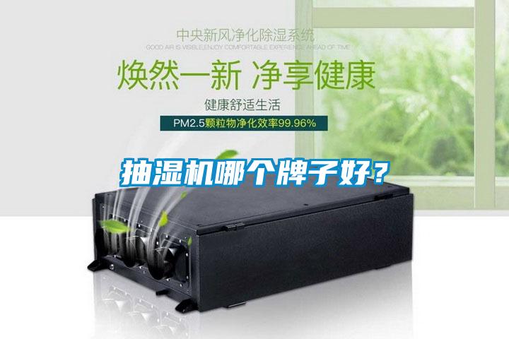 抽濕機哪個牌子好？