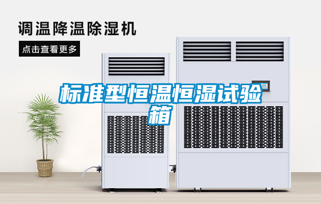 標(biāo)準(zhǔn)型恒溫恒濕試驗箱