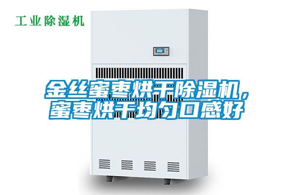 金絲蜜棗烘干除濕機，蜜棗烘干均勻口感好
