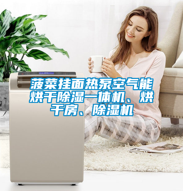 菠菜掛面熱泵空氣能烘干除濕一體機、烘干房、除濕機