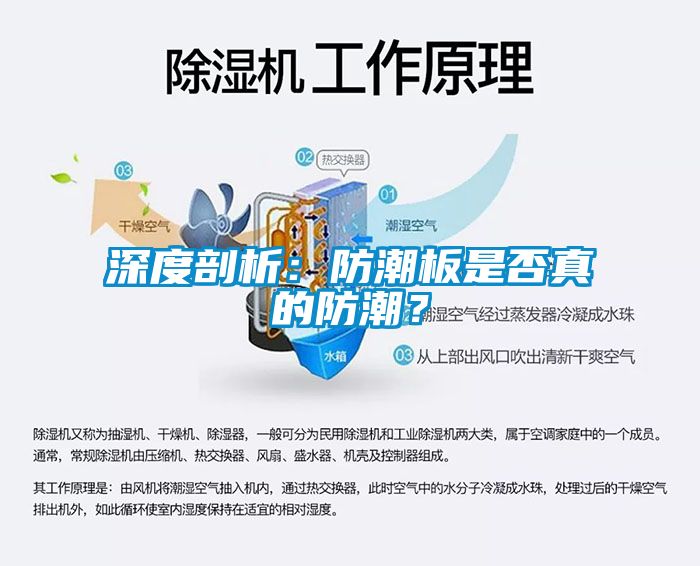 深度剖析：防潮板是否真的防潮？