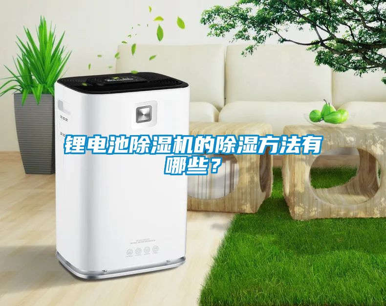 鋰電池除濕機的除濕方法有哪些？