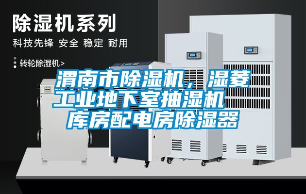 渭南市除濕機(jī)，濕菱工業(yè)地下室抽濕機(jī)  庫(kù)房配電房除濕器