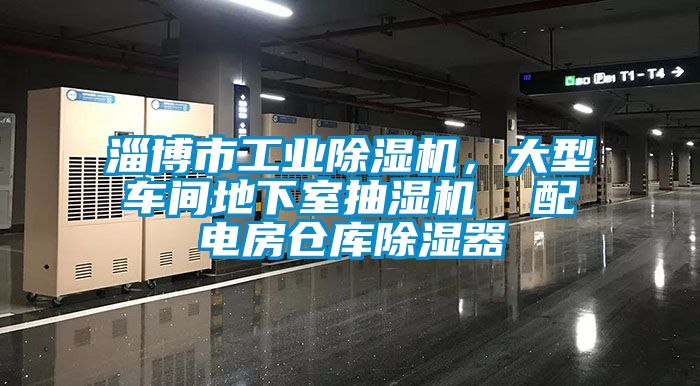 淄博市工業除濕機，大型車間地下室抽濕機  配電房倉庫除濕器