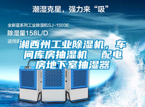 湘西州工業除濕機，車間庫房抽濕機  配電房地下室抽濕器