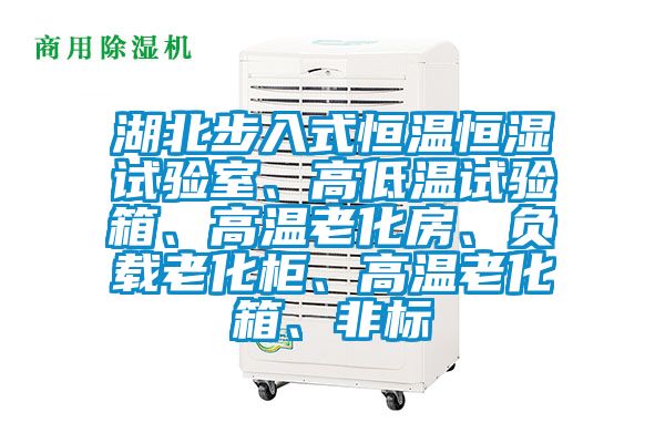 湖北步入式恒溫恒濕試驗室、高低溫試驗箱、高溫老化房、負載老化柜、高溫老化箱、非標