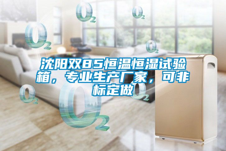 沈陽雙85恒溫恒濕試驗(yàn)箱，專業(yè)生產(chǎn)廠家，可非標(biāo)定做